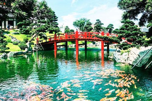 Hướng đến thị trường khách Nhật