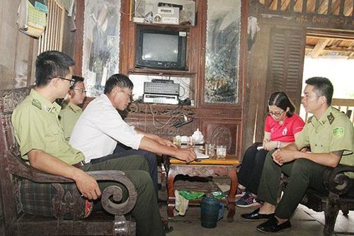 'Vua măng sặt' dưới đỉnh Sam Síp