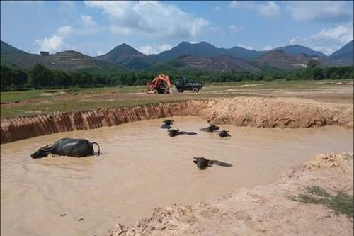 Kinh tế Xây dựng - Giao thông Quản lý khoáng sản tận thu còn bất cập