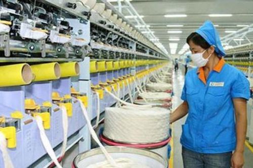 Doanh nghiệp quay trở lại hoạt động tăng gấp 3 lần