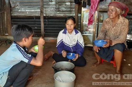 Nghị lực phi thường của cô bé mồ côi vừa đi học, vừa nuôi bà và em
