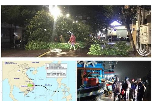 Bão số 5 càn quét Bình Định - Phú Yên, 4 tàu hàng tuột neo trên vịnh Quy Nhơn
