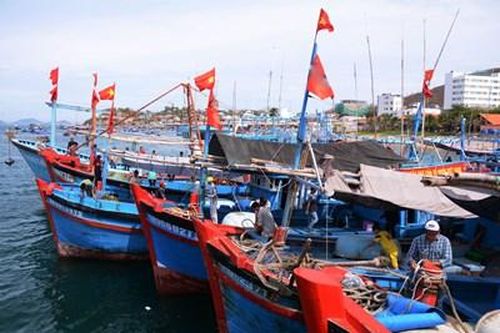 Phú Yên, Quảng Ngãi sẵn sàng ứng phó với cơn bão số 5