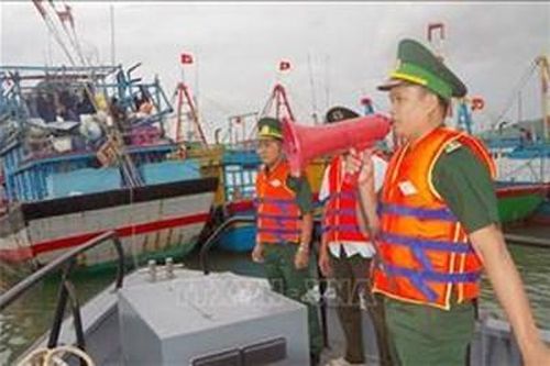 Hơn 254.000 cán bộ, chiến sĩ LLVT ứng phó bão số 5