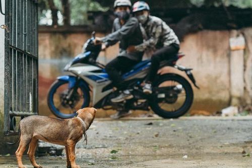 Dân làng bắt giam kẻ trộm chó rồi đánh tới chết ở Gia Lai