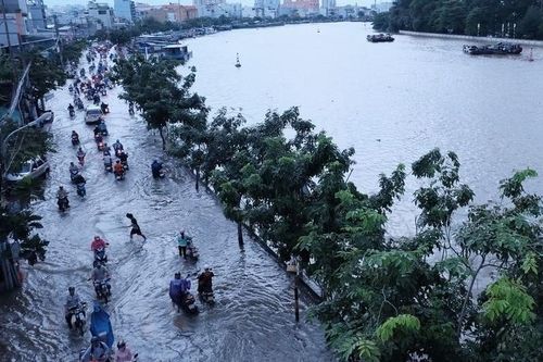 Sẽ có khoảng 31 triệu người dân Việt Nam phải chịu cảnh lụt lội
