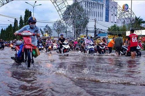 Nước nổi thấp, triều cường cao: Những thách thức đặt ra cho ĐBSCL
