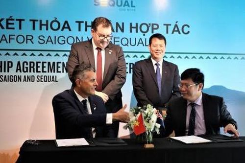 Sequal Holdings Ltd và VinaFor Sài Gòn hợp tác phân phối gỗ thông