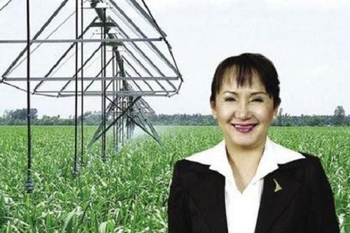 Bà Huỳnh Bích Ngọc giữ chức Chủ tịch SBT thay ông Phạm Hồng Dương