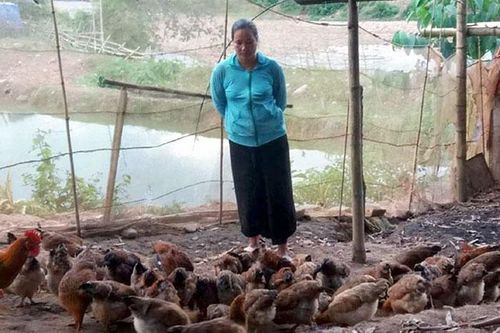 Tạo cơ hội để phụ nữ khởi nghiệp