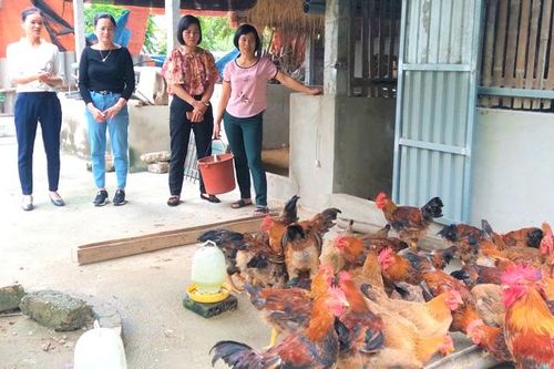 Phụ nữ thôn Cầu Bâm tiết kiệm giúp nhau thoát nghèo