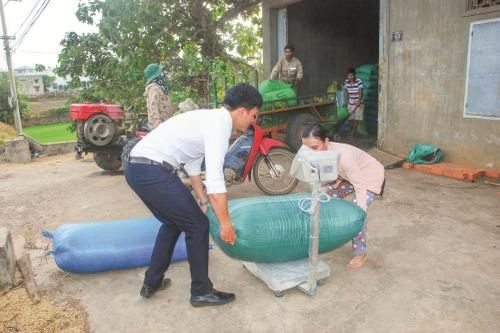 Đắk Lắk khơi trong dòng tín dụng