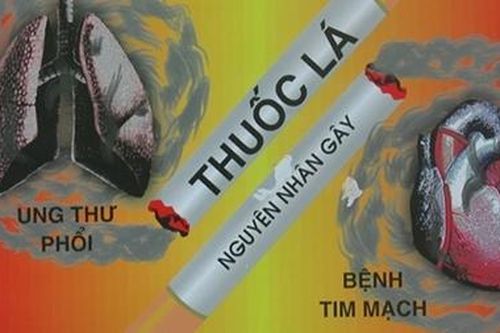 Hút thuốc và mối ràng buộc nguy hại với bệnh tim