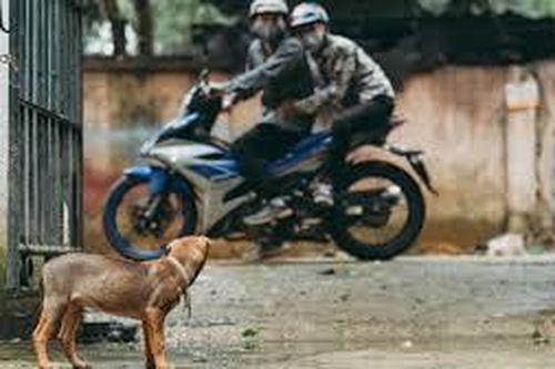 Dân làng vây bắt trộm chó, đánh chết một người