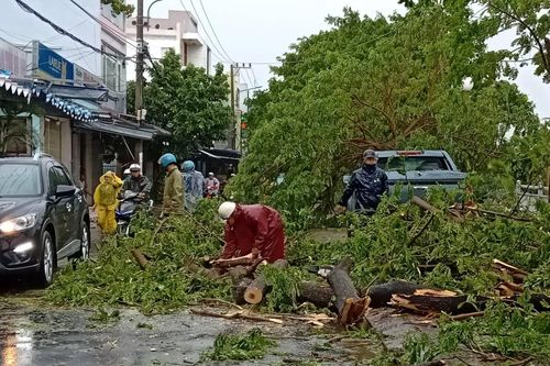 Đà Nẵng: Nhiều cây xanh gẫy đổ sau bão