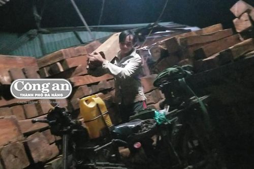 Thông tin thêm về vụ phá rừng tại H. Ia Pa, Gia Lai: Hàng loạt cán bộ, đơn vị nhận khuyết điểm và bị kỷ luật