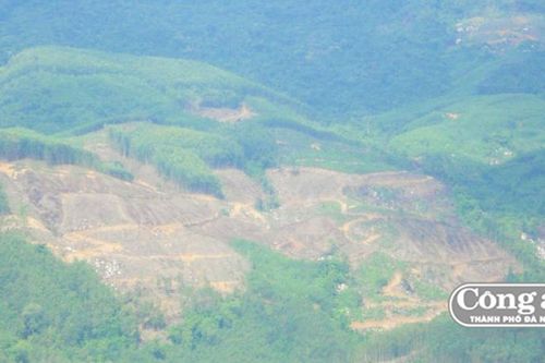 Ồ ạt lấn chiếm đất lâm nghiệp đã có chủ