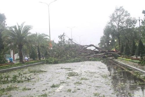 Cảnh nhiều tỉnh Trung bộ ngổn ngang, 'tan hoang' sau bão số 5