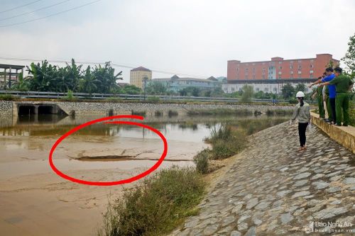 Làm rõ thêm vụ việc bùn thải 'bức tử' hồ điều hòa