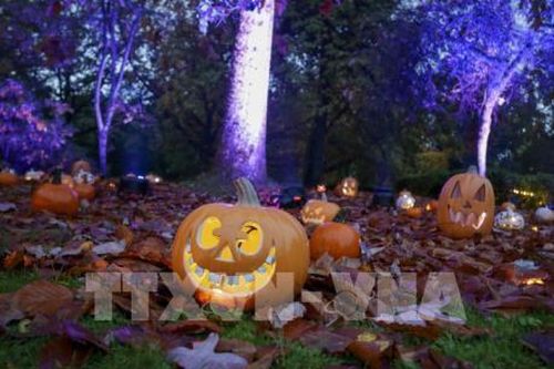 Bài toán 'giải cứu' bí ngô và giảm rác nhựa sau Halloween
