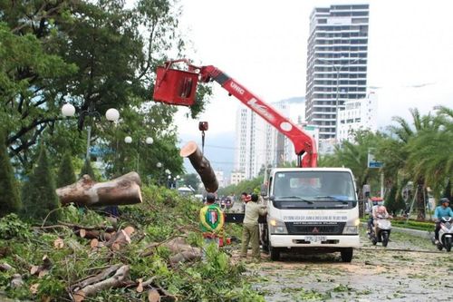 Thành phố Quy Nhơn tan hoang sau cơn bão số 5