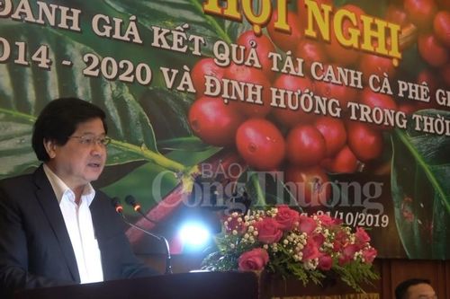 Phát triển ngành cà phê Việt Nam đồng bộ và bền vững