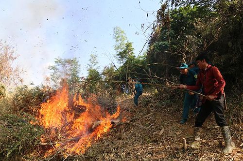 68 người được tập huấn pháp luật về lâm nghiệp