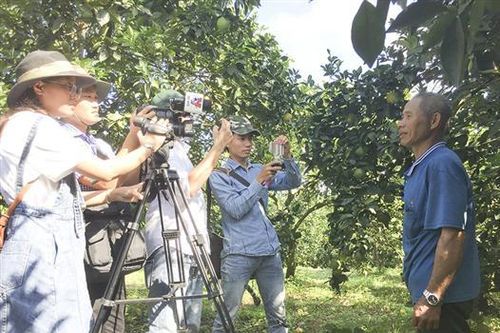 Quả ngọt nơi vùng quê lúa Hải Lăng