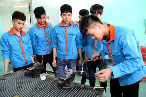 Chọn nghề trên thiết bị di động: Kết quả tuyển sinh tăng 12 %