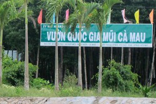 Kỷ luật nguyên Giám đốc Vườn Quốc gia Mũi Cà Mau