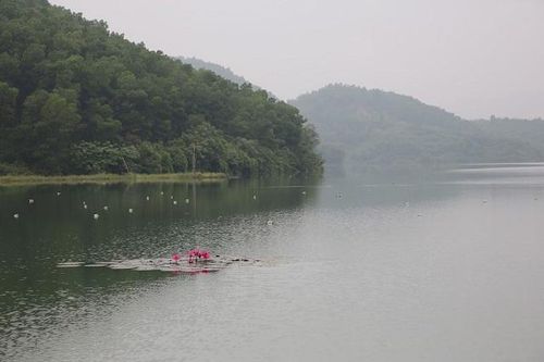 Vụ nước sông Đà bị nhiễm dầu: Nghiên cứu lấy nước từ Sông Đà vào thẳng nhà máy