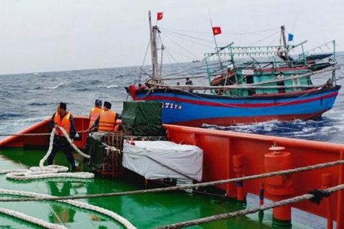 Chín ngư dân tàu NA 95171 TS vào bờ an toàn