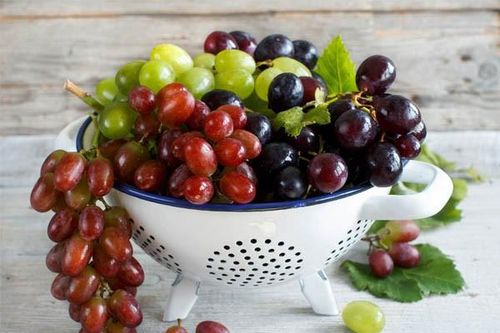 Ăn nho vừa chống ung thư, vừa giảm cân cực an toàn