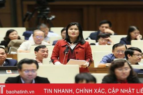 Đại biểu Quốc hội Hà Tĩnh: Xóa nợ thuế cần công khai, minh bạch, chịu sự kiểm tra, giám sát