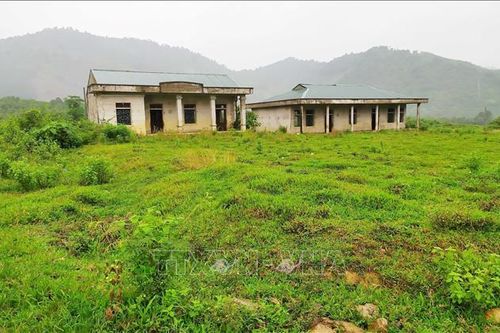 'Hoang phế' dự án khu tái định cư 85 tỷ đồng