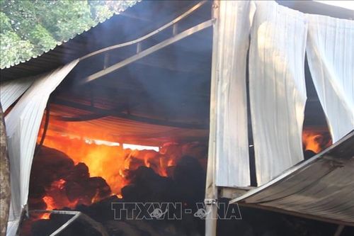 Hỏa hoạn thiêu rụi xưởng bao bì đựng điều, ước thiệt hại 800 triệu đồng