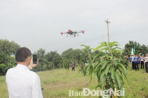 Đào tạo lớp nông dân trẻ thông minh