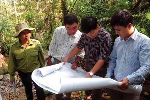 Kinh tế Kinh tế Bảo vệ 'lá phổi xanh'