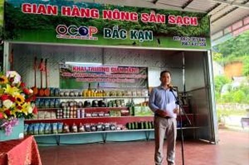 Khai trương gian hàng nông sản sạch và các sản phẩm OCOP huyện Ba Bể, tỉnh Bắc Kạn