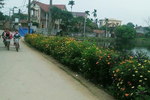 Giữ gìn ngõ phố xanh, sạch, đẹp tại huyện Ba Vì