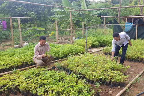 XÔ ĐỔ 'BỨC TƯỜNG' ĐÓI NGHÈO - Kỳ cuối: Phải thông tư tưởng
