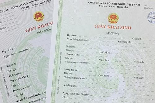 Thu hồi giấy khai sinh do xã cấp cho 2 bé người Hàn Quốc