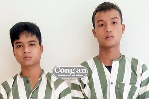 Hy hữu chuyện tự ý thu gom gỗ tang vật rồi để mất trộm