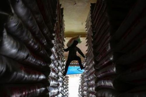 Xuất khẩu gạo thế giới trước những khó khăn