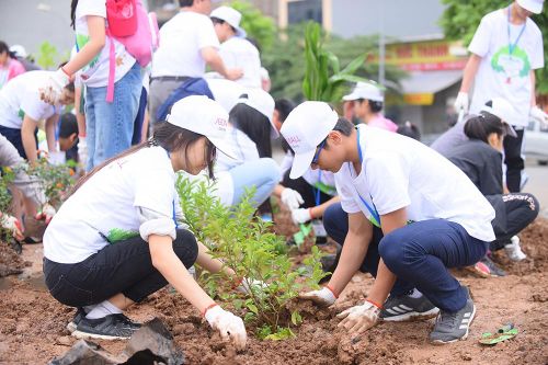 AEONMALL Việt Nam với hành trình 'Cánh rừng quê hương AEON'
