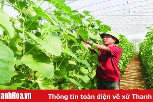Huyện Hoằng Hóa chuyển đổi được 760 ha đất trồng lúa hiệu quả kinh tế thấp