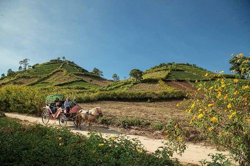 Du lịch Gia Lai vào mùa