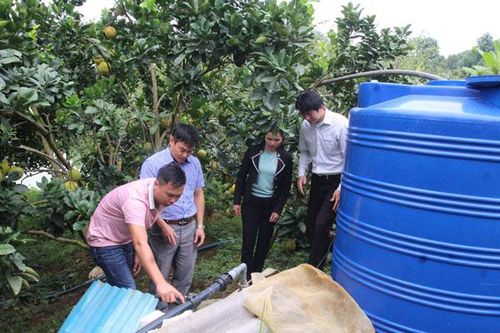 Hội thảo phổ biến kinh nghiệm xử lý chất thải chăn nuôi