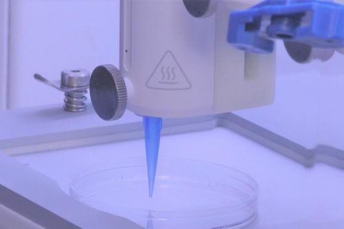 Có thể tạo lớp da gồm cả mạch máu bằng máy in sinh học 3D