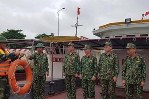 'Cây sáng kiến' của đảo Mắt